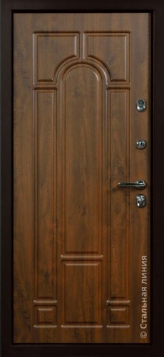 Дверь Рафаэль цвет дуб темный/дуб темный 880х2060 мм фото 2